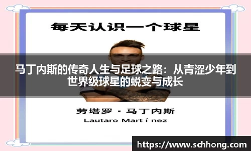 3003新葡的京集团网址