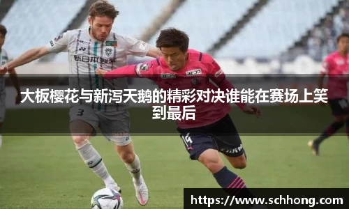 3003新葡的京集团官网